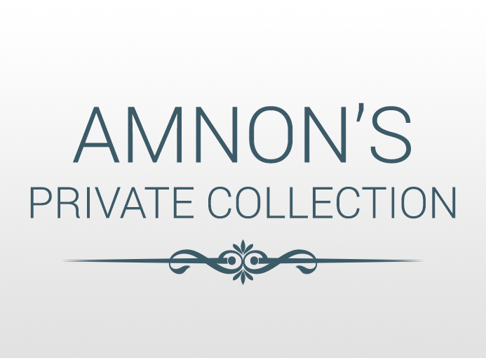 amnon collection