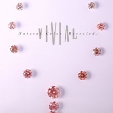 Pink Purple Necklace